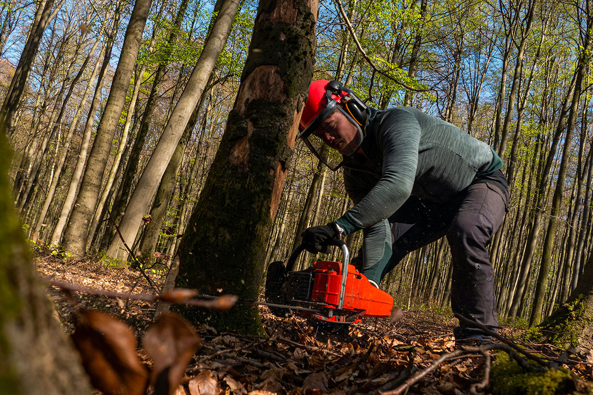 Vous consultez actuellement Brevet Professionnel Responsable de Chantiers de Bûcheronnage Manuel et de Débardage